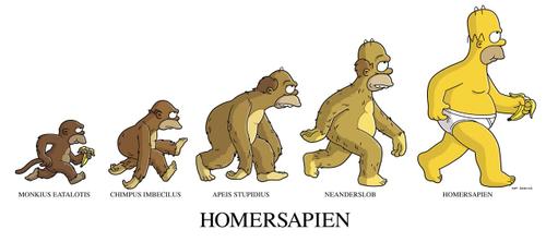 Tecnicismes Biologia!!!